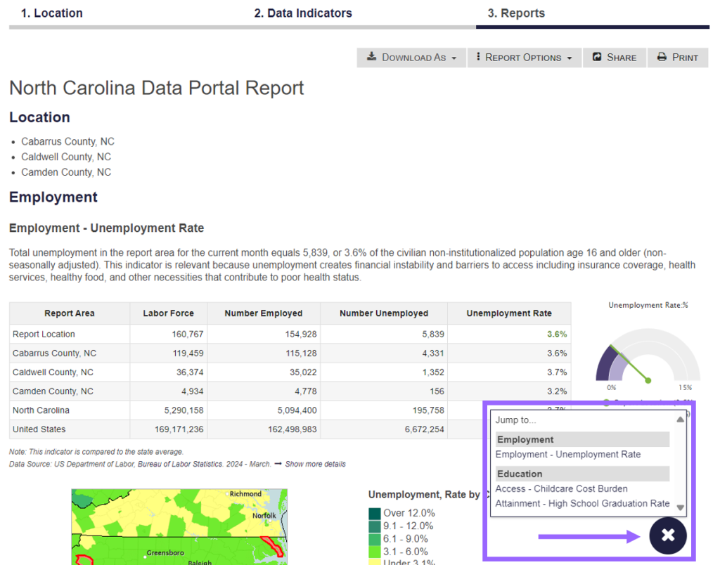 This image shows the completed report with report navigation menu for the NC Data Portal Community Health Assessment. 